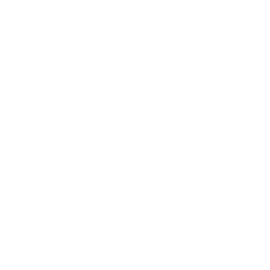 ChatGPT Plus Personnel