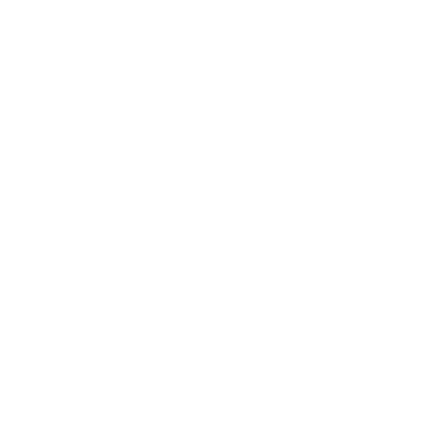 CapCut Pro