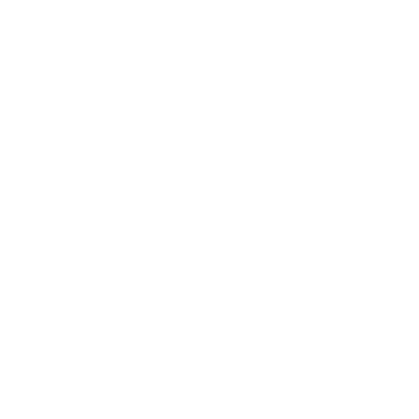 X Premium Basic